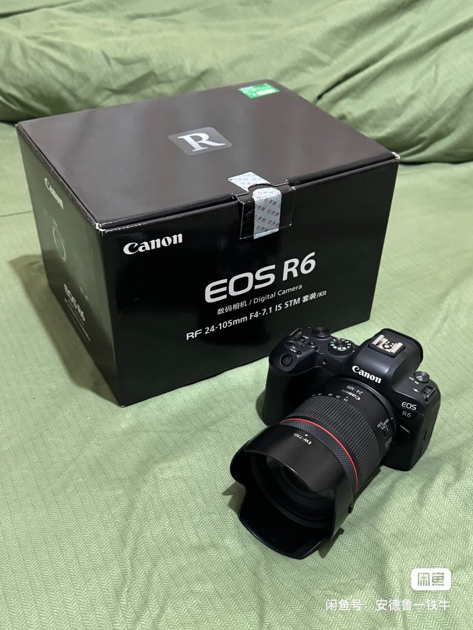 Canon R6