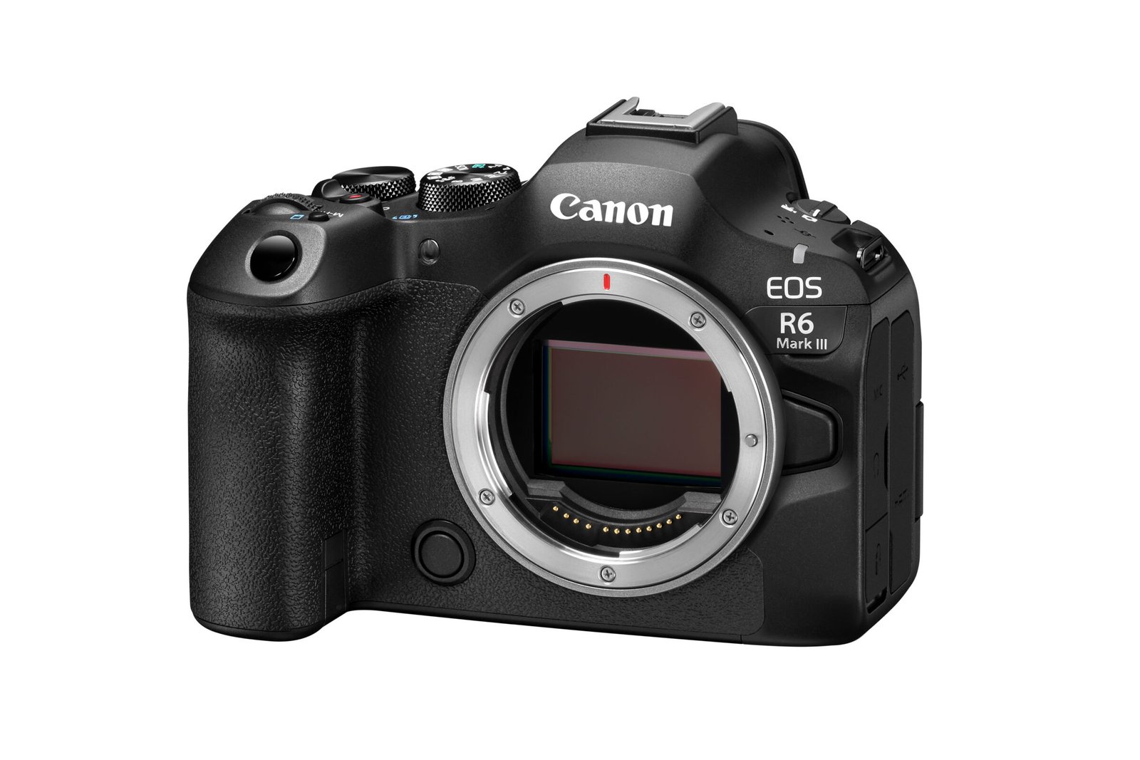  Canon EOS R6 Mark III